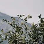 Baleze Boutique - Adults Only Ξενοδοχείο Akyaka (Mugla)
